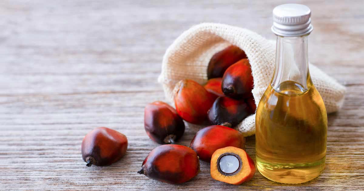 L'olio di palma sarà presto bandito dal principale produttore