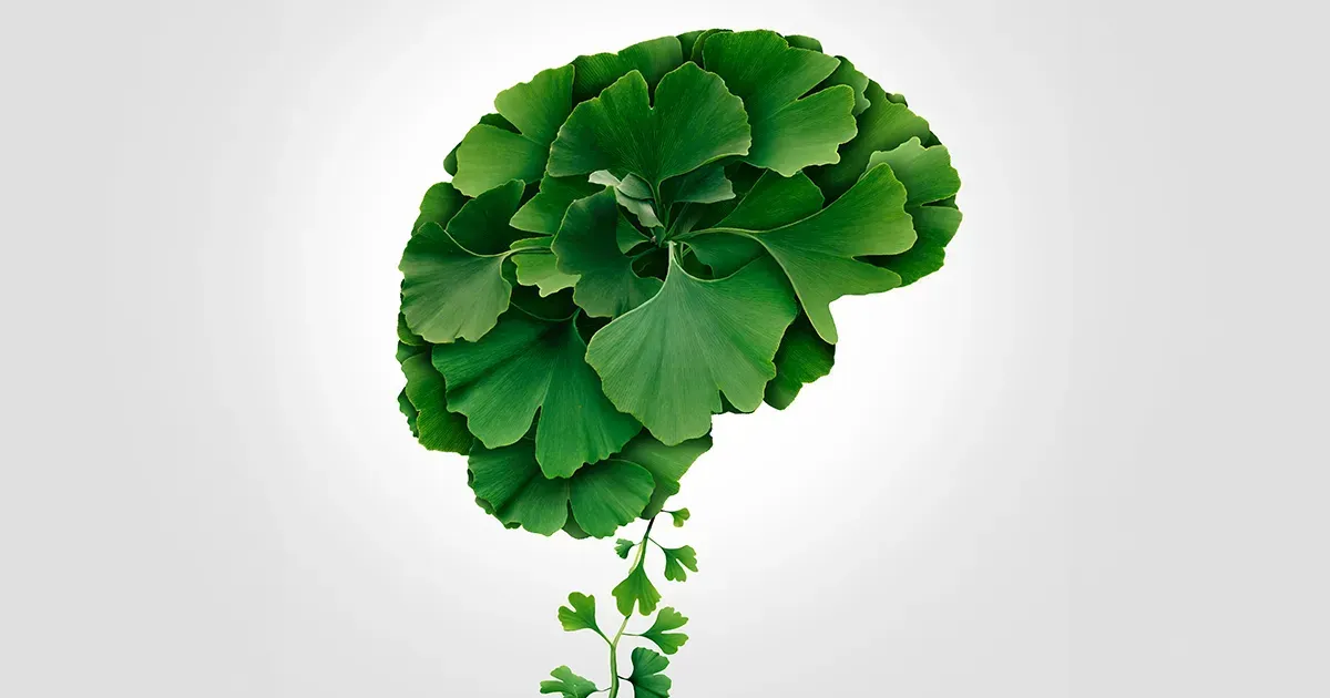 Aumenta la potenza del tuo cervello con il Ginkgo Biloba
