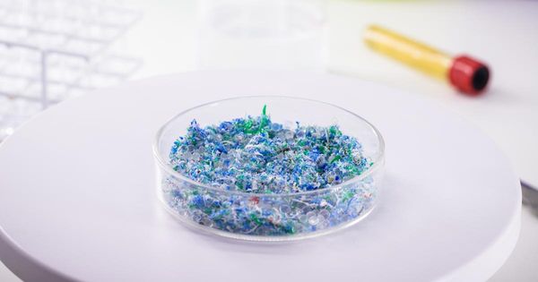 Microplastiche da mascherine trovate in profondità nei polmoni degli esseri viventi