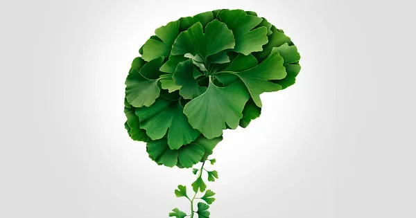 Aumenta la potenza del tuo cervello con il Ginkgo Biloba