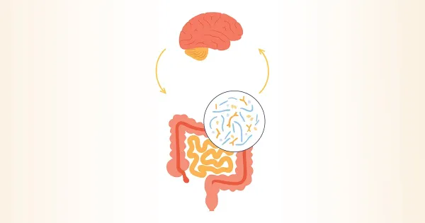 Come i batteri intestinali modulano le risposte allo stress