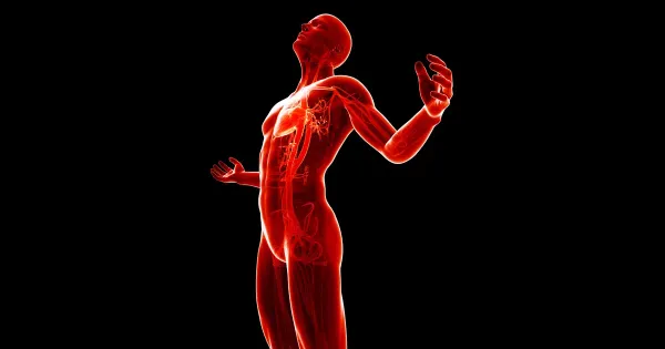 Come l'orologio interno del tuo corpo influenza l'infiammazione