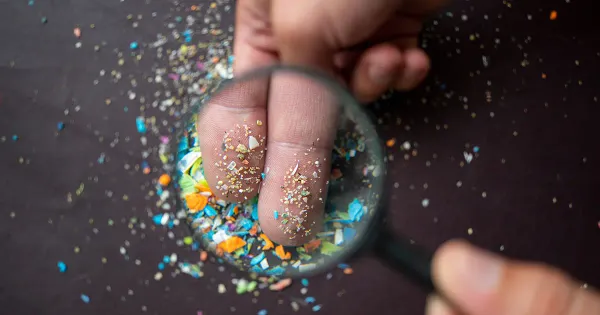 Come le microplastiche si accumulano nel cervello e in altri organi