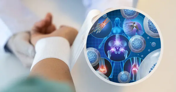 Come le cellule invecchiate aiutano o ostacolano la guarigione