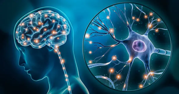 La memoria non è confinata al cervello