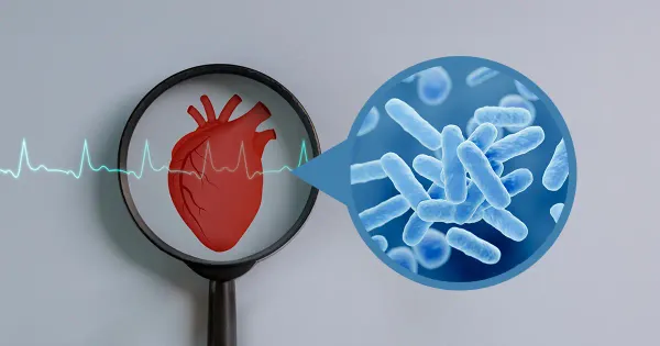 Il modello del microbioma intestinale aiuta a predire il rischio di infarto nei pazienti affetti da malattie cardiache